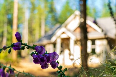 21316 268th Place NE, Arlington, WA 98223 - photo 4