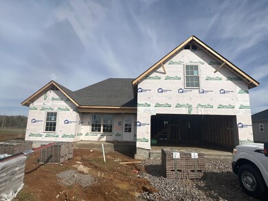 208 Meadowbrook Dr, Shelbyville, TN 37160 - photo 4