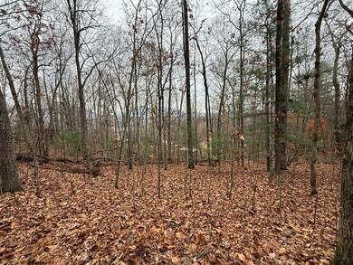 0 Rosenkranz Ln unit 420573, Hiawassee, NC 28904 - photo 7