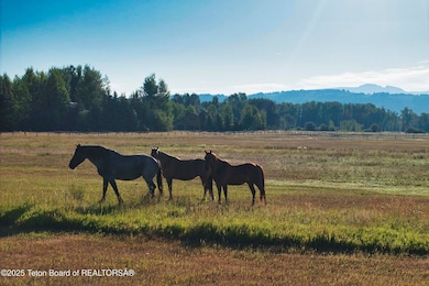 4585 W Highway 22, Wilson, WY 83014 - photo 7