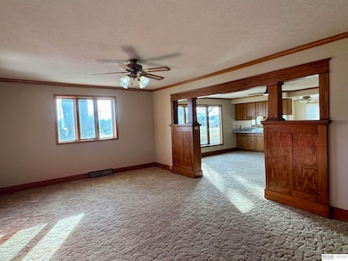 210 Pawnee St, Burchard, NE 68323 - photo 3
