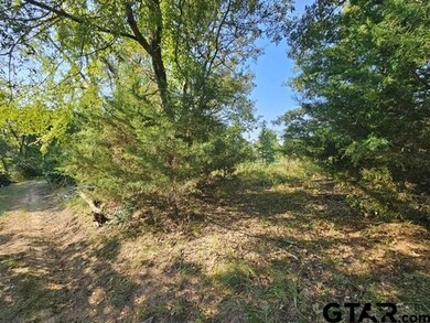 223 An County Road 4250, Palestine, TX 75803 - photo 3