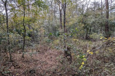 9076 N Evenstock Way, Crystal River, FL 34428 - photo 4