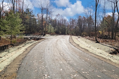 Lot 1 Kennebunk Rd, Lyman, ME 04002 - photo 3