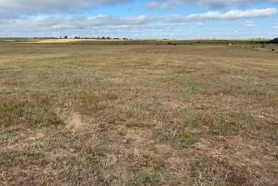 0 County Road 202 & 43 unit 20251565, Woodward, OK 73801 - photo 5