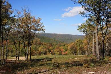 0 Flagstaff Rd unit PM-51073, Jim Thorpe, PA 18229 - photo 4