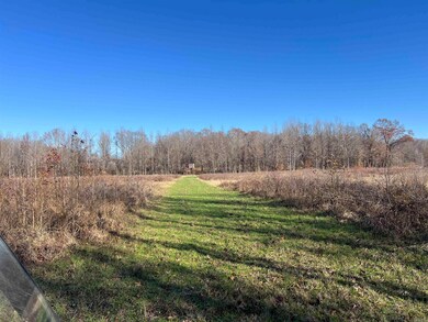 Another line with food, plot, and feeder