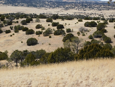 274 Deer Cir, Quemado, NM 87829 - photo 6