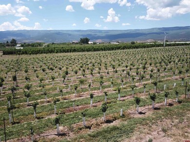 Lot 2 NW Cedar Ave, Cedaredge, CO 81413 - photo 5