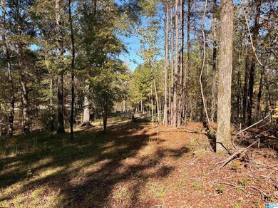 4540 Cabin Rd, McCalla, AL 35022 - photo 2