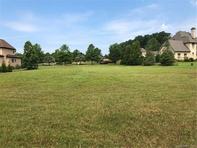 View from the back of the lot. Wide, deep and leve