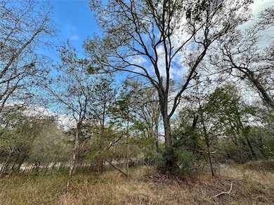 104 E Waiehu Ln, Bastrop, TX 78602 - photo 7