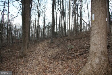 0 Greystone Dr unit VAWR142706, Front Royal, VA 22630 - photo 3