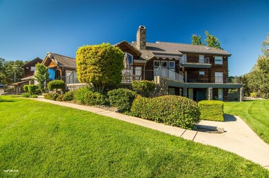 Panorama Vet and Home-33