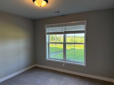 18928 73rd Ave N, Maple Grove, MN 55311 - photo 6