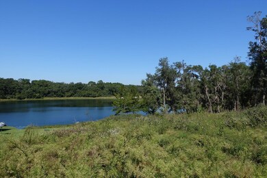 0 Malauka Loop unit MFROM664646, Ocklawaha, FL 32179 - photo 4