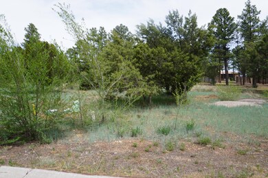 781 Bushman, Show Low, AZ 85901 - photo 7