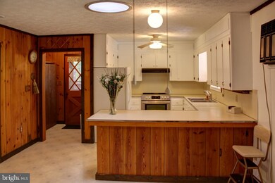 225 Sarah Ln, Basye, VA 22810 - photo 6