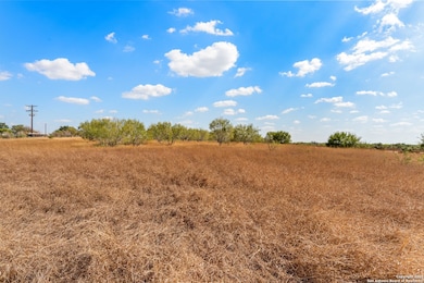 3041 Farm To Market Road 1333, Poteet, TX 78065 - photo 2