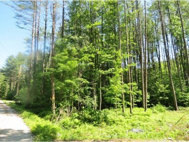 TBD Spruce, Ludlow, VT 05149 - photo 2