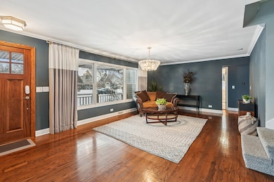 131 W Chicago Ave, Downers Grove, IL 60515 - photo 3