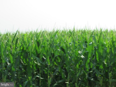 0 Old Stage Rd, Laurel, DE 19956 - photo 3