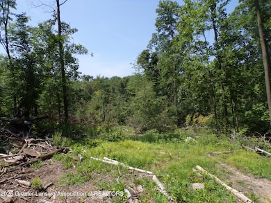 0 S Lacey Lake Rd unit 289887, Bellevue, MI 49021 - photo 5