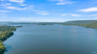 unlisted-address, Langston, AL 35755 - photo 2