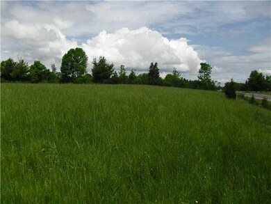 Exterior Front hedgerow to north in vicinity of pr