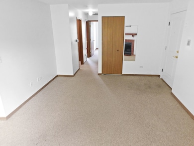 546 N Deer Run Dr unit 546, Palatine, IL 60067 - photo 5