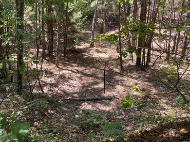 4755 Hwy 34 W, Paragould, AR 72450 - photo 3