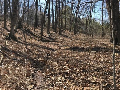 18023 Stout Mountain Rd, Fayetteville, AR 72701 - photo 4