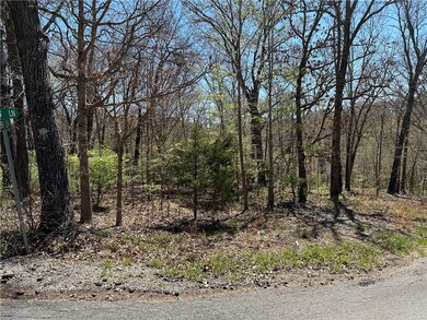 0 Diss Ln, Bella Vista, AR 72715 - photo 7