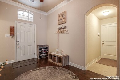 17807 Oxford Mount, Helotes, TX 78023 - photo 6