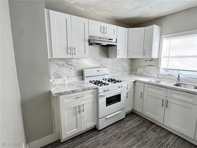 1239 Pondview Ave, Akron, OH 44305 - photo 4