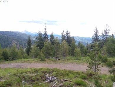 0 08s36 Tl 1900 unit 18542076, Sumpter, OR 97877 - photo 2