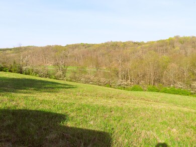 IMG_0820