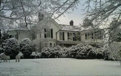 824 E Myrtle Ave, Johnson City, TN 37601 - photo 3