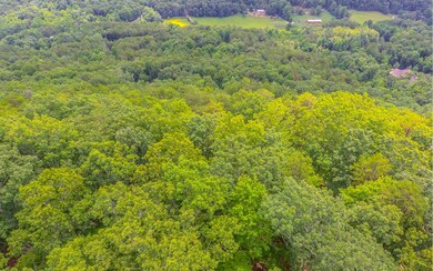 Additional View