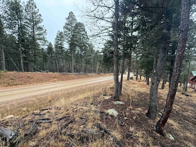 Lot 99 Via Del Rey, Angel Fire, NM 87710 - photo 3