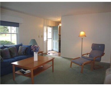 60 Windsor St, Indiana, PA 15701 - photo 3