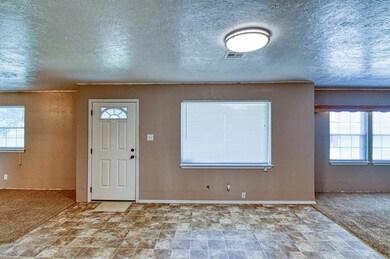 Entryway with a textured ceiling, carpet flooring, and stone finish flooring