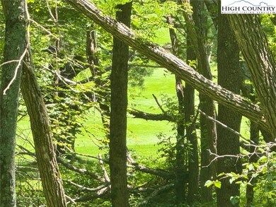 View of golf course through the trees