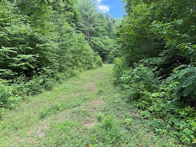 Lot 59 Garnet Rd, Sylva, NC 28779 - photo 6