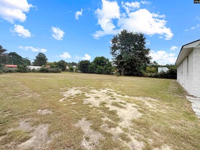 1609 Cannon Bridge Rd, Cordova, SC 29039 - photo 7