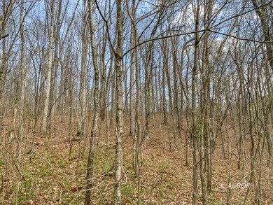 Goose Creek Rd