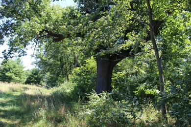 IMG_2561