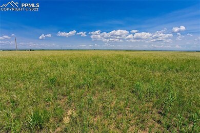 20305 Joyful View, Peyton, CO 80831 - photo 3