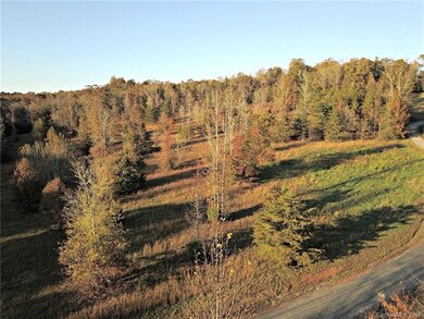 Wooded area on the upper side of the land.