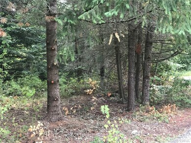 13232 Rocking South Ln SE, Yelm, WA 98597 - photo 7